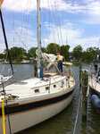 pic_05295.jpg