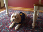 pic_05328.jpg