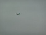 pic_05532.jpg