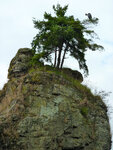 pic_05550.jpg