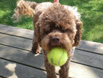 pic_05567.jpg