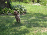 pic_05572.jpg