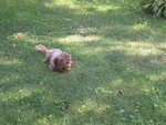 pic_05573.jpg