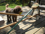 pic_05574.jpg