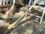 pic_05575.jpg