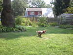 pic_05578.jpg