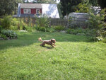 pic_05579.jpg