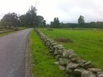 pic_16436.jpg