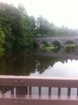 pic_16437.jpg