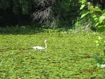 pic_16456.jpg