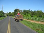 pic_16496.jpg