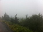 pic_16224.jpg