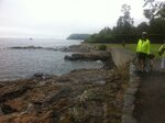 pic_16229.jpg