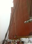 pic_16233.jpg