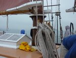 pic_16262.jpg
