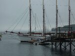 pic_16269.jpg