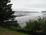 pic_16279.jpg
