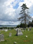 pic_16298.jpg