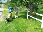 pic_16323.jpg