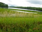 pic_16327.jpg