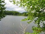 pic_16330.jpg