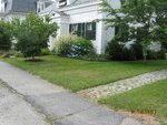 pic_16334.jpg
