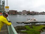 pic_16398.jpg