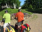 pic_24035.jpg