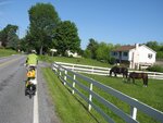 pic_24043.jpg