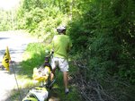 pic_24052.jpg