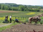 pic_24057.jpg