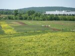 pic_24059.jpg