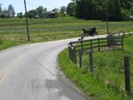 pic_24061.jpg