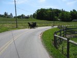 pic_24062.jpg