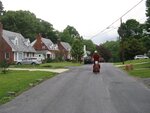 pic_24091.jpg
