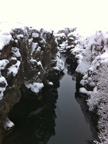 A small crack in the rift between the North American and European continental plates at Thingvellir.