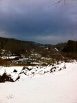 pic_05697.jpg