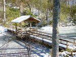 pic_05710.jpg