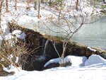pic_05711.jpg