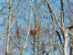 pic_05715.jpg
