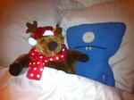 pic_05738.jpg