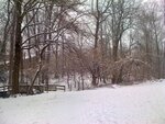 pic_05749.jpg