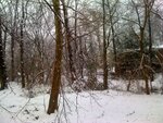 pic_05750.jpg