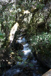 pic_18898.jpg