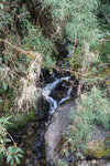 pic_19024.jpg