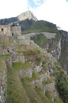 pic_19351.jpg