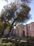 pic_19806.jpg