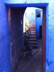 pic_19822.jpg