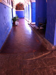 pic_19838.jpg