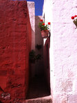 pic_19842.jpg